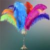 10PcsLot Ostrich Feathers for Crafts White Big Ostrich Feather On The Middle of The Table Centerpieces Dream Catcher Decoration