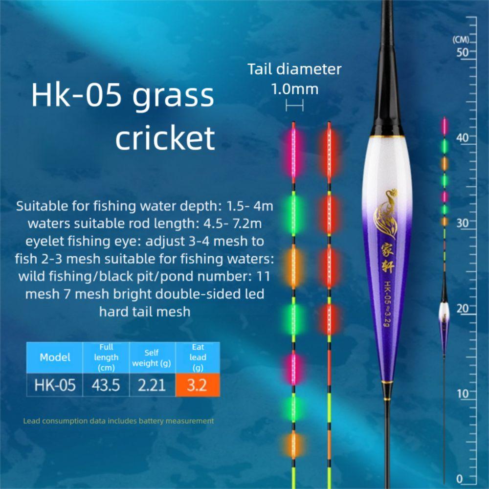 Buoy Strike LED Light Float Indicator Rock Fishing Floats New Electronic Fishing Float  Long Tail
