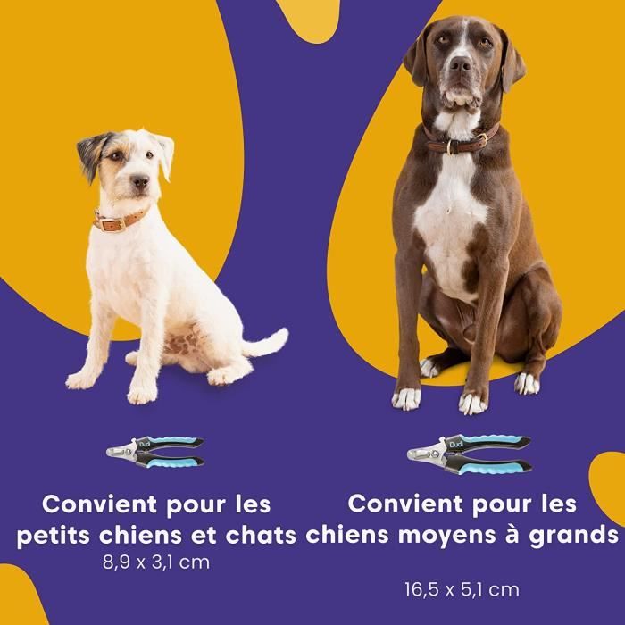 Coupe-Ongles et Lime à Ongles - Dudi Pet - Sécurité - Pour Chien - Outils Durables