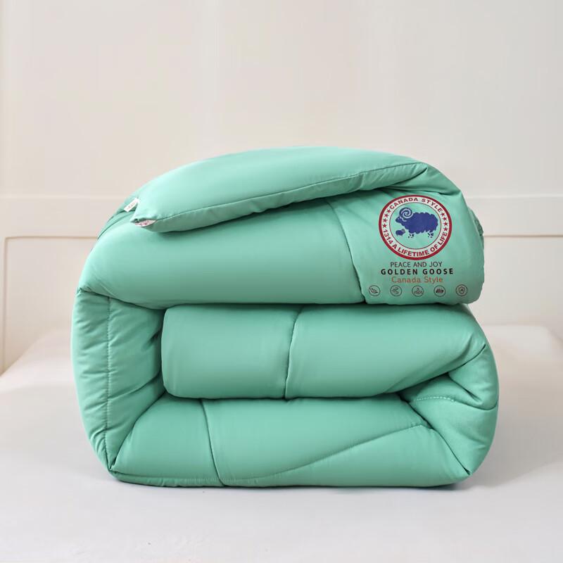 Qi Xi Ai Graphene Thickened Winter Quilt