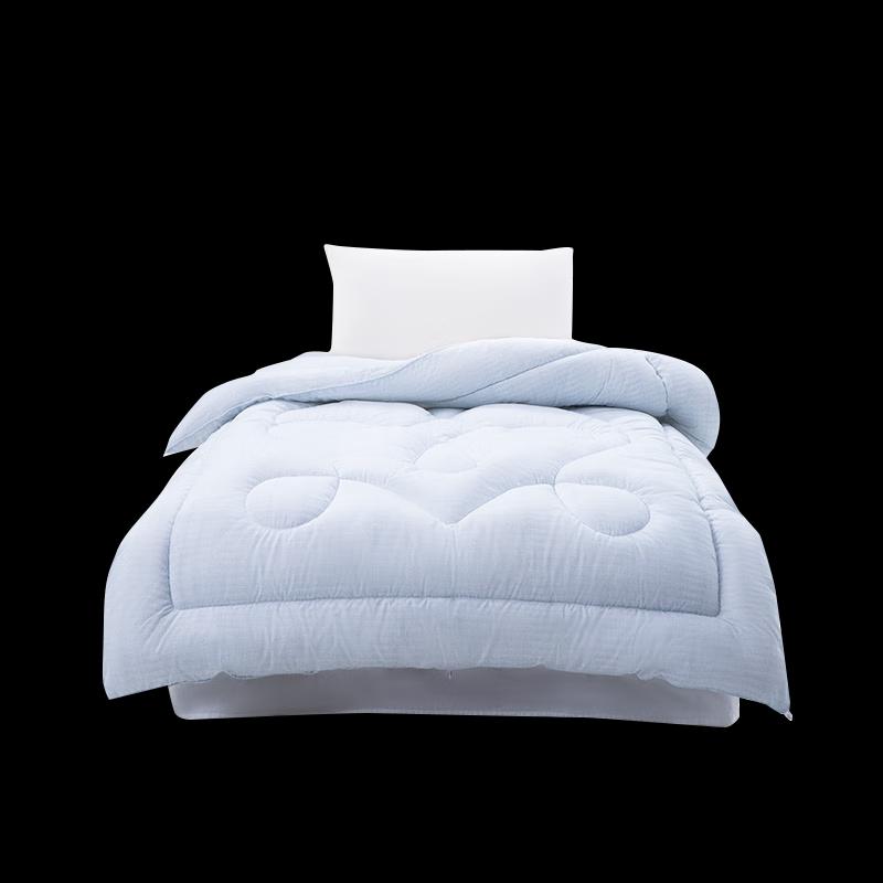 

Mercury Home Textiles All-Season Washed Polyester Quilt