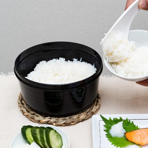 Astro Rice Cooker, Black, 2-Cup Capacity, Microwave, Dishwasher Safe, with Binchotan Charcoal, Made in Japan, 510-10