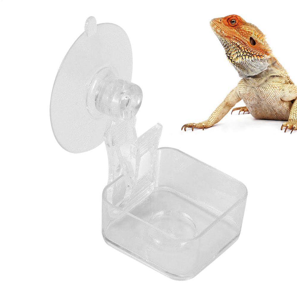Chameleon Food Bowl Reptile Feeder With Suction Cup Habitat Decoration Pet Water Container Tray For Lizards Spider Tree Frogs