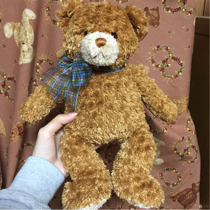 [USED] Teddy bear plush toy price reduction available