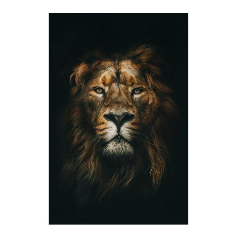 Lei africani sălbatici în întuneric Pictură pânză pe perete Postere și imprimeuri Animale alb-negru Poze Decor pentru acasă