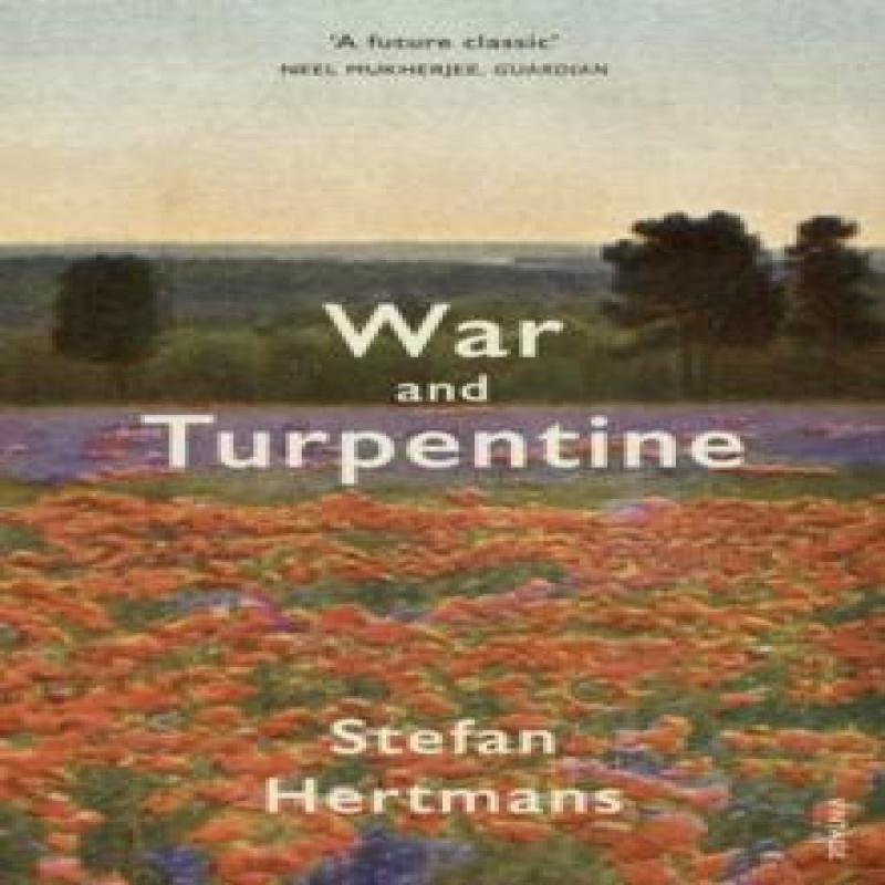 War and Turpentine by Stefan Hertmans Paperback Book 9780099598046