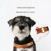 Dego Fashion Wasserdichtes Hundegeschirr & Leinen-Set für Kleine/Mittelgroße Hunde
