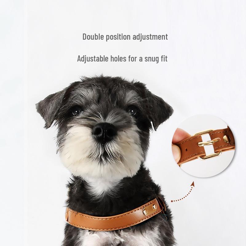 Dego Fashion Wasserdichtes Hundegeschirr & Leinen-Set für Kleine/Mittelgroße Hunde