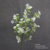 Asparagus Fern & Willow Buds Greenery for Wedding Decor & Landscaping
