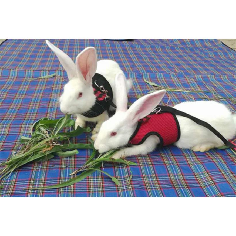 Cute Harness Leash Set with Bow Bunny Vest Harnesses Leashes for Chinchilla Hamster Golden Bear Outdoor Walking Pets Accessories