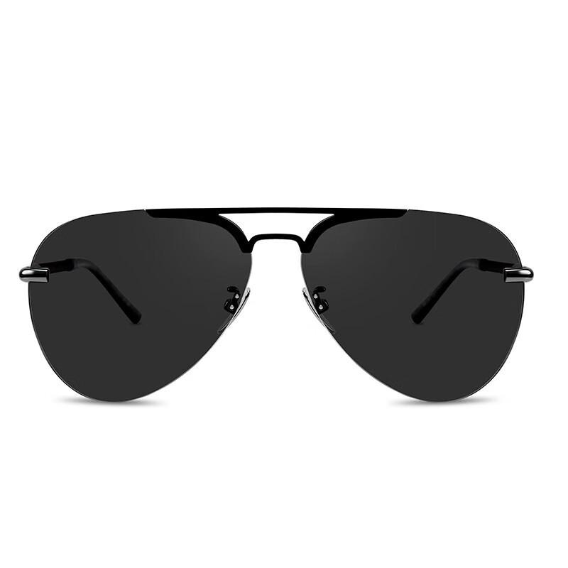 Eagle Warrior Pilot Polarized Titanium Sunglasses