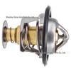 Thermostat für Buick Old Regal, New Century, Regal, LaCrosse