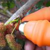 6Pcs Farm Vegetable Fruit Picker Pickle Pepper Pickle Tip Picker Iron Nail Pick Grape Picker for Garden Orchard and Vegetable Patch