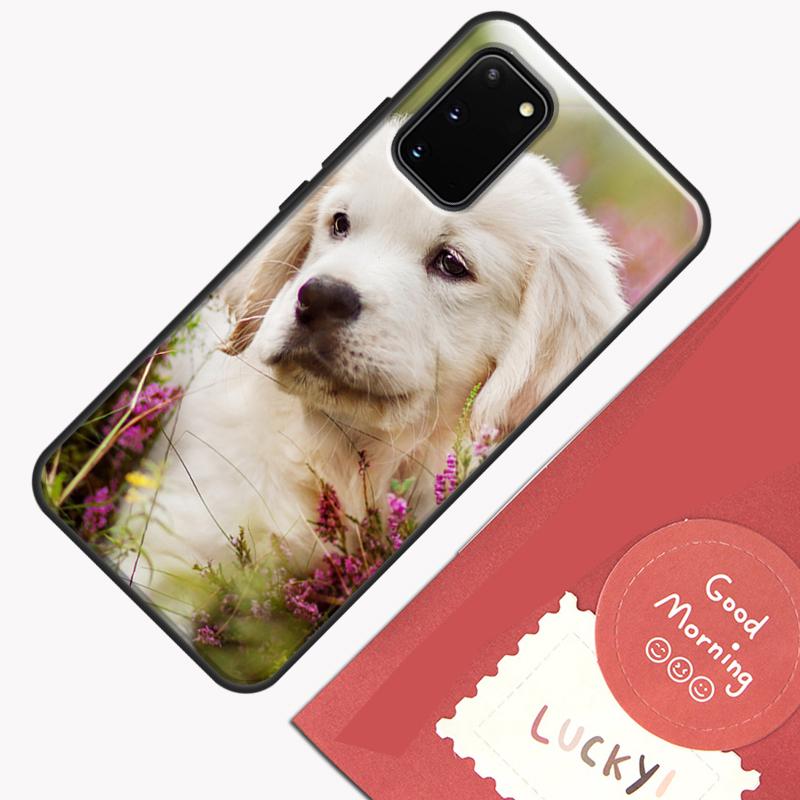Golden Retriever Hund Handyhülle Für Samsung Galaxy S24 S26 Ultra S20 S21 S22 S23 S25 Plus S10 S25 FE Hülle Schale