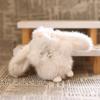 Doll Pendant Keychain Cartoon Rabbit Plush Keyring with Heart Necklace Car Key Holder Pendant Backpack Accessories