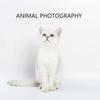 Waterproof PVC Photo Background Anti-wrinkle Photography Backdrop White Backdrop  Photography
