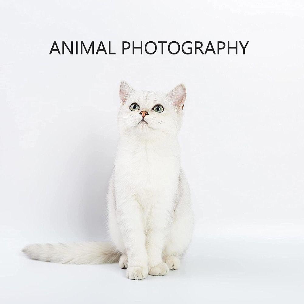 Waterproof PVC Photo Background Anti-wrinkle Photography Backdrop White Backdrop Photography