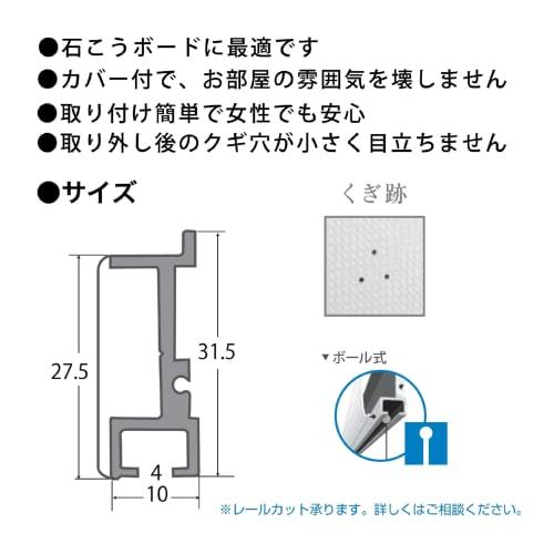 Fukui Metal Craft Rail Sun Picture Rail, 65cm Wide, Stylish Ball-Type with White Mini Wire Set, for Frames, Picture Display, DIY, Rentals, Walls, and