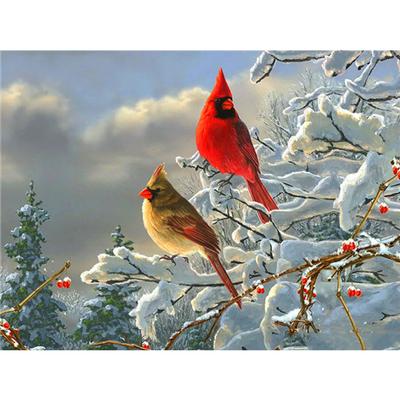 5D DIY Diamond Painting Kits DIY Wall Art Full Square Drill Diamond Embroidery Animal Mosaic Picture Handicraft