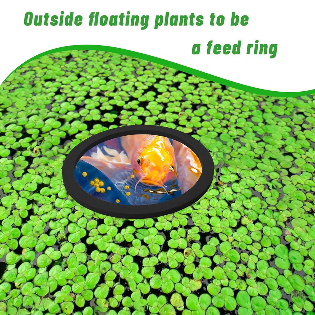 Aquarium Floating Plant Corral 5/10Pcs Floating Plant Holder Fish Feeding Rings for Fishtanks 80-200mm Pet Supplies