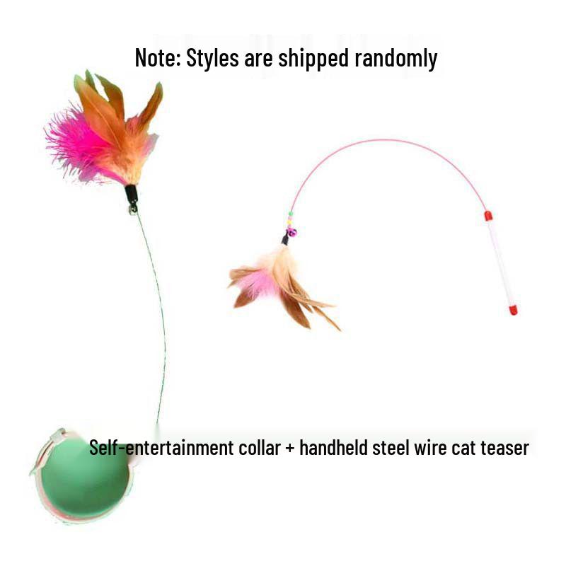 Interactive Feather Cat Teaser with Bell & Collar