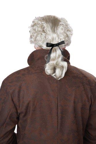 California Costumes CALIFORNIA COSTUMES 18th Century Gray Men's Wig CAL-70700