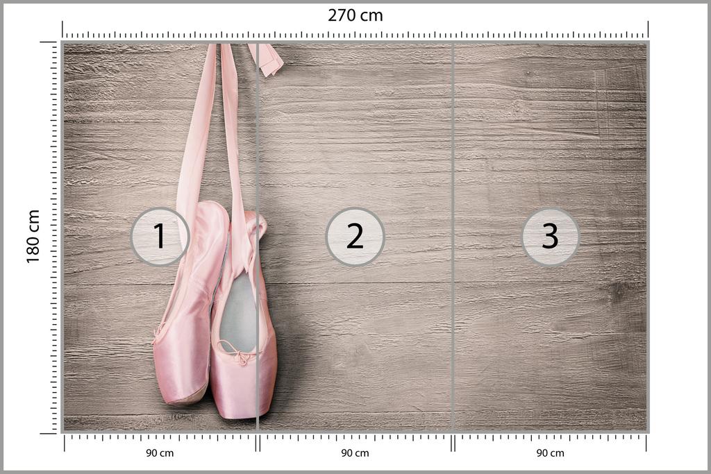 Photomural Ballet Shoes Non-Woven 270x180