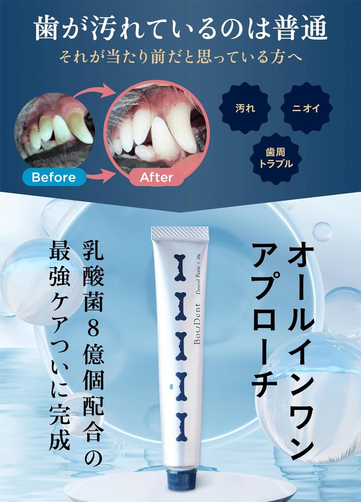 Dog Toothpaste Toothbrush Set Tartar Removal Tooth Brushing Dental Care Tartar Bad Breath Plaque Oral BowDent 20g [BowDent] All-in-One
