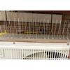 1/4Pcs 25cm Bird Proof Nails Stainless Steel Bird Thorn Anti-bird Sting  for Garden Fence Roof