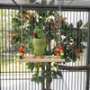 Bird Perch Stand Bite Resistant Parrot Swing Wooden Colorful Beads Bird Hanging Bird Cage Standing Play Gym