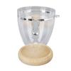 Coffee Bean Container Loose Leaf Tea Coffee Sugar Nuts Canister Clear Food Storage Jar with