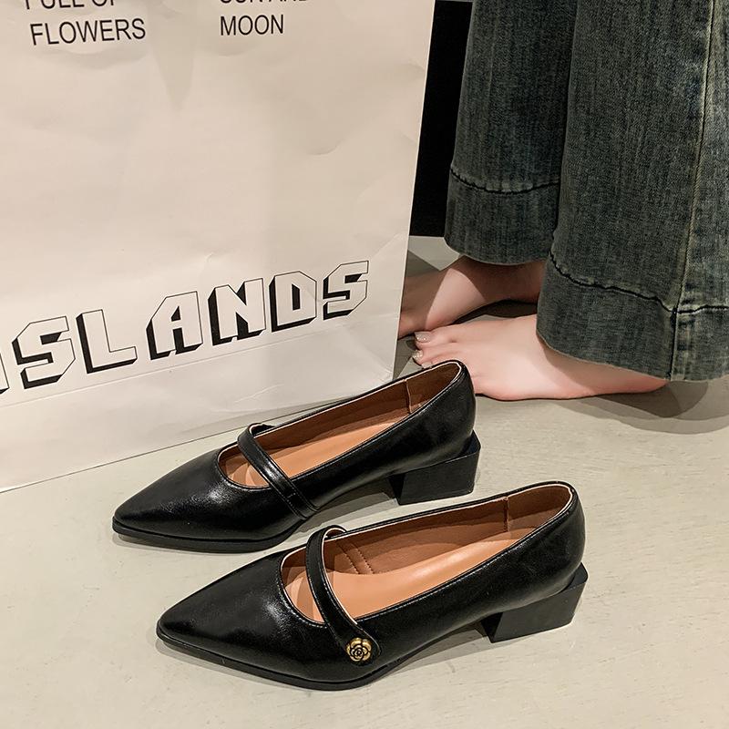 Niche Commuter Thick Heel Brown Pointed Mary Jane Single Shoes Women's Shoes 2025 Spring Summer Evening French Commuter Leather Shoes