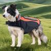 Pet Anti-bite Clothing with Gaskets and Four Rows of Nails Outdoor Sports Anti-bite Clothing Dog Supplies