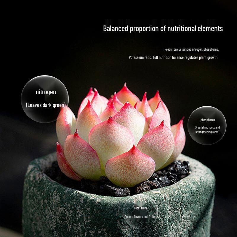 Indoor Flowering Nutrient Tablets: Universal NPK Organic Fertilizer for Potted Plants & Succulents with Slow-Release Formula for Home Gardening.