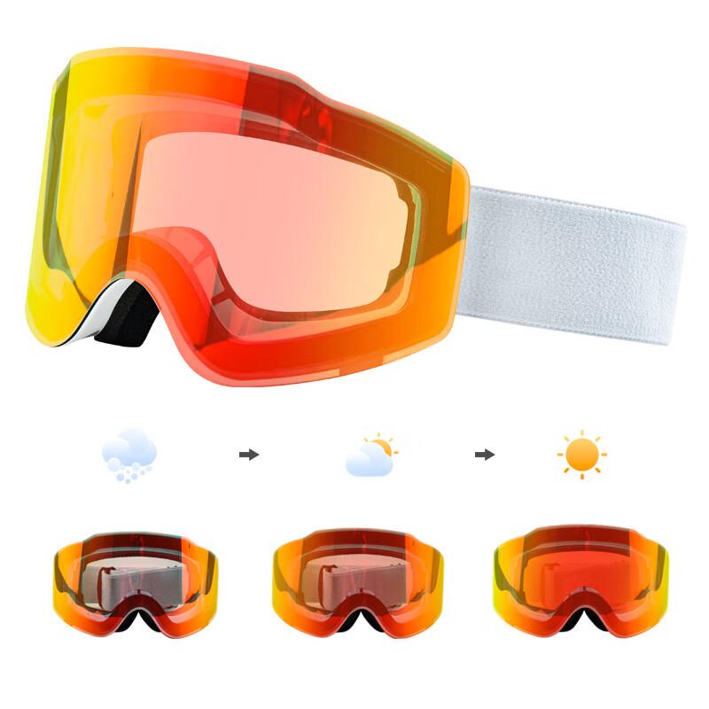 Snow Power Anti-Fog Double-Layer Ski Goggles