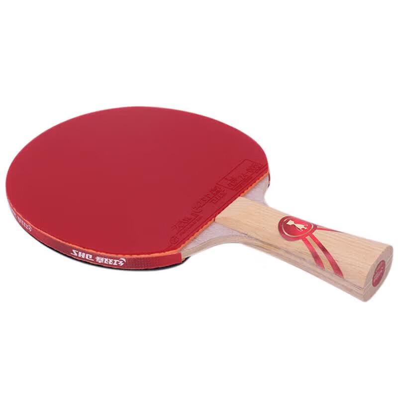 DHS Hurricane Ma Long GM03 Professional Table Tennis Racket