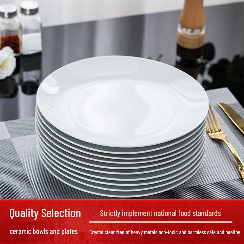 Tao Xiang Hui 10-inch White Bone China Dinner Plates (10 Pack) 10 inch