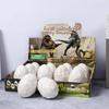 Dinosaur Fossil Dig Kit: Educational DIY Archaeology Toy