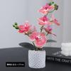Simulated Phalaenopsis Potted Flower Finished Indoor Home Ornament Soft Rubber Phalaenopsis False Flower