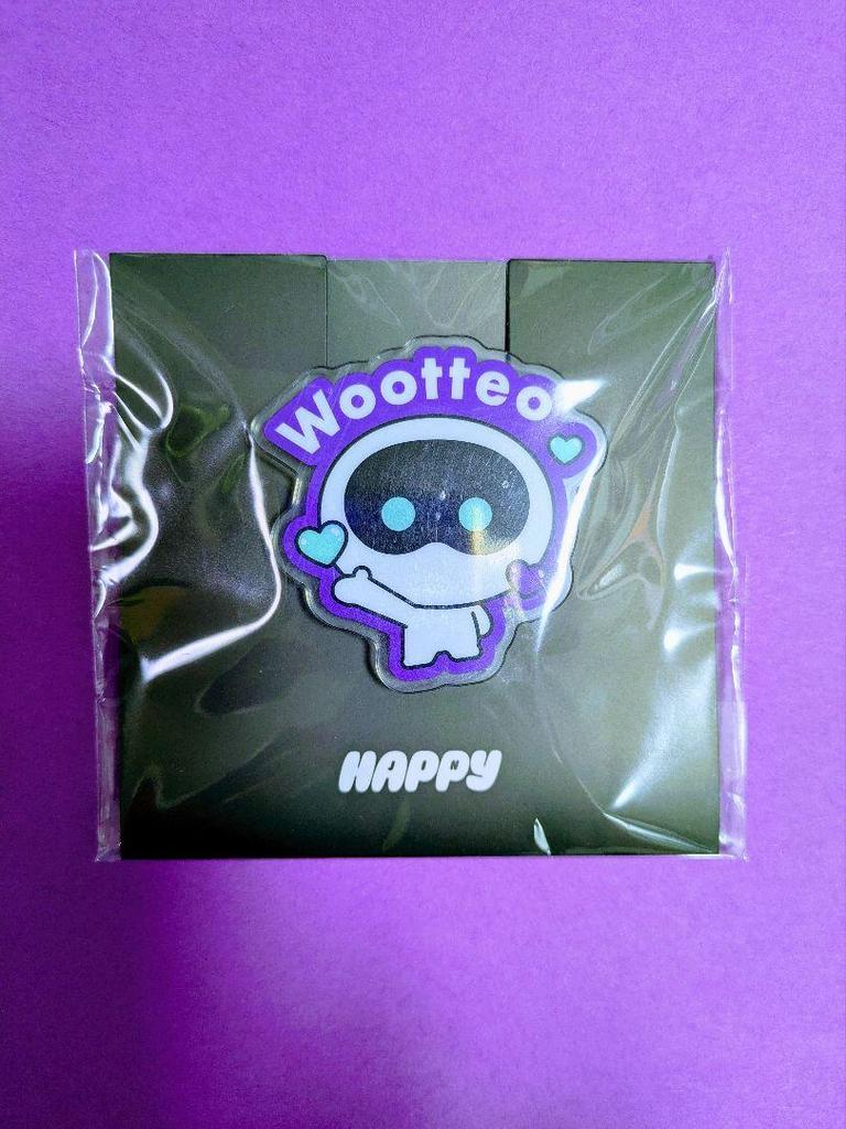 [GEBRAUCHT] BTS Offizielles JIN Woot-kun Set