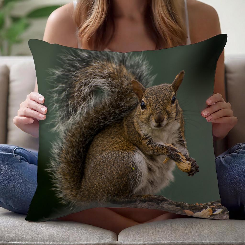 Short Plush “Favorite Peanut Squirrel” Pillowcase 18×18 Inch Double Sided Printed Zipper Cushion Cover Realistic Wildlife Decor