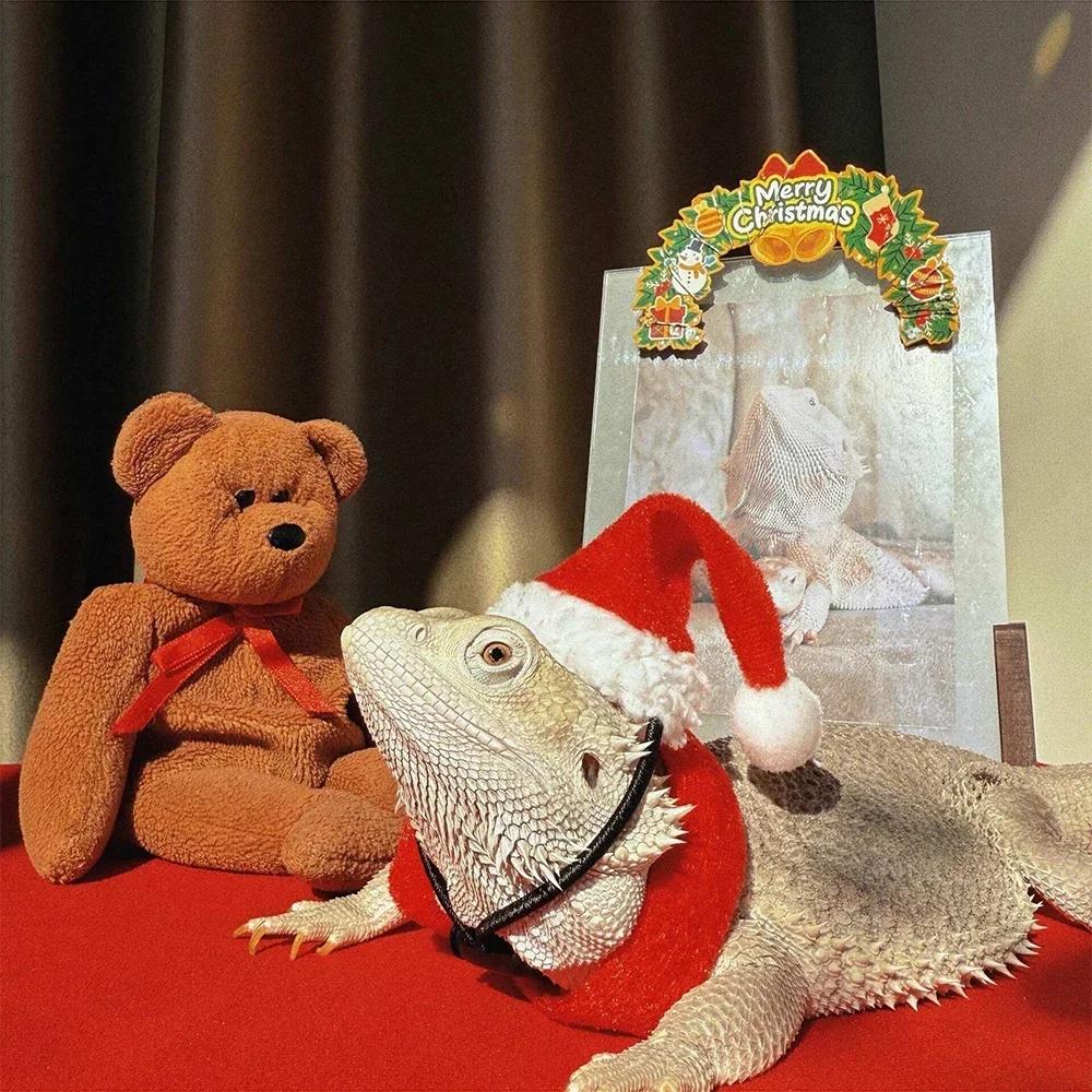 2 Stück/Set Eidechse Weihnachten Dekohut, Weihnachtsmannmütze und Schal, Weihnachtskleidung, Eidechse Reptil Haustier Dekohut