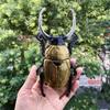 Artistic Moth Silicone Moulds Wall Decors Moulds Wall Hanging Moulds Moth Shape Silicone Pendant Moulds for Ornament