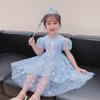 Elsa Princess Summer Dress: Frozen-inspired Tutu for Girls
