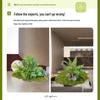 Decorațiuni pentru casă – Flori decorative şi coroane de flori