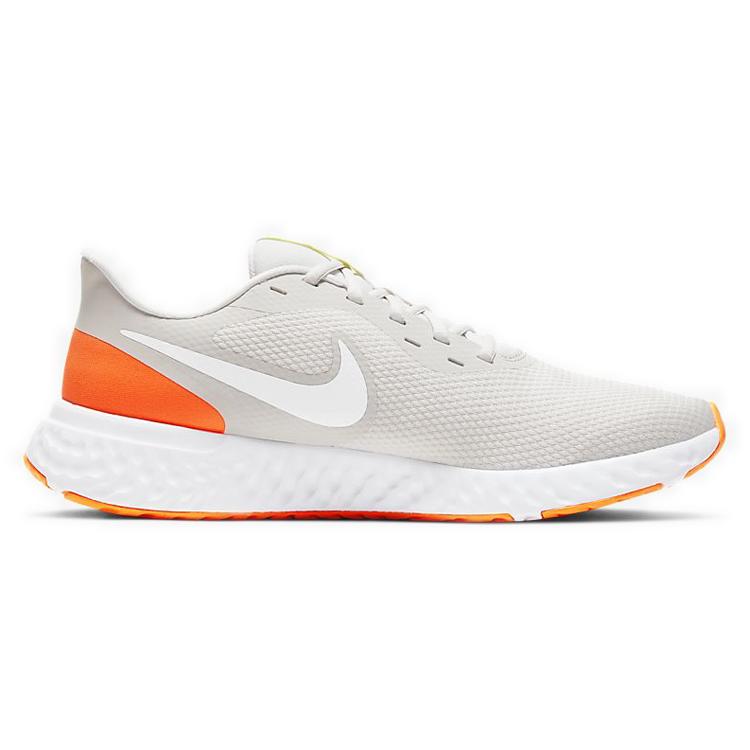 Nike Revolution 5 Platinum Tint