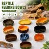 Multicolor Reptile Feeding Bowl Multi-functional Reptile Bathtub Crawler Water Basin  For Reptiles