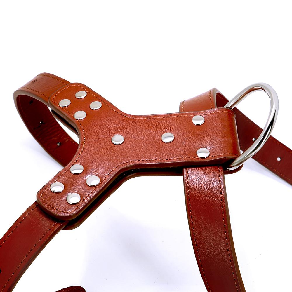 Hundegeschirr aus echtem Leder, Trainingsweste für Hunde aus echtem Leder mit niedlicher Schleife, verstellbar, langlebig, für mittelgroße und große Pitbulls
