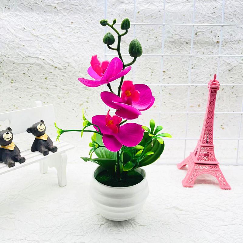 Phalaenopsis Potted Decorative Plant For Living Room Decor And Gift Display