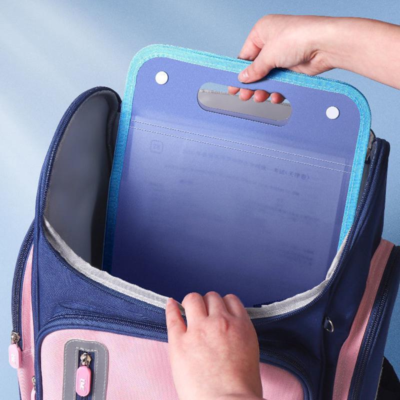 A4 Macaron Vertical Binding File Bag Student Test Paper Storage Bag 13 Cell Portable Organ Bag, Office School Supplies
